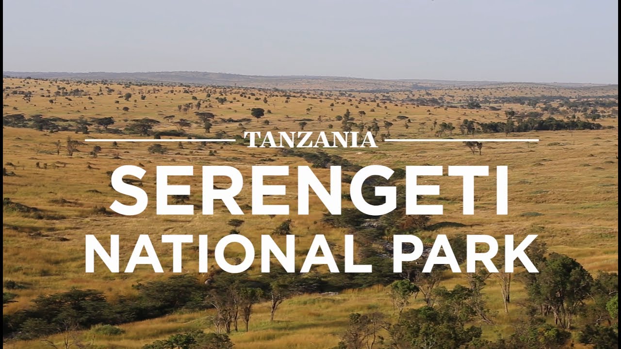 Serengetti National Park